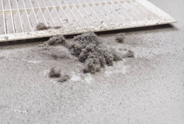 Best Affordable Air Duct Cleaning  in Mantua, VA