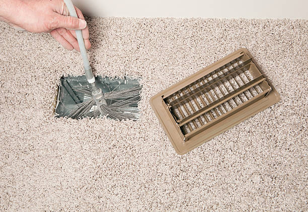 Best Air Duct Mold Removal  in Mantua, VA